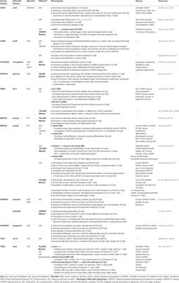 Zebrafish Models of Neurodevelopmental Disorders: Past, Present, and Future